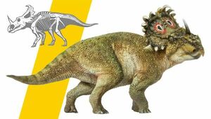 PNSO シノケラトプス 恐竜 角竜 ケラトプス科 動物 リアル フィギュア PVC プラモデル おもちゃ 模型 恐竜好き 誕生日 プレゼント 塗装済