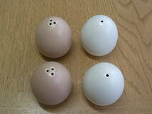 卵型のソルト＆ペッパー S&P　4個で1セット　陶器製_画像2