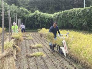 ☆残りわずか 令和4年産 天日干し[自然乾燥] 宮城のササニシキ 玄米25キロ☆