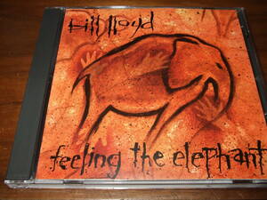 Bill Lloyd《 Feeling the Elephant 》★オルタナ・カントリー