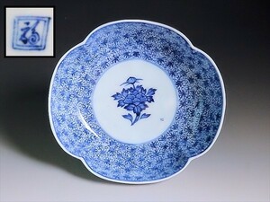 faat-C076 old Imari blue and white ceramics ... Hagi Tang .. map tree . type . plate Edo period 