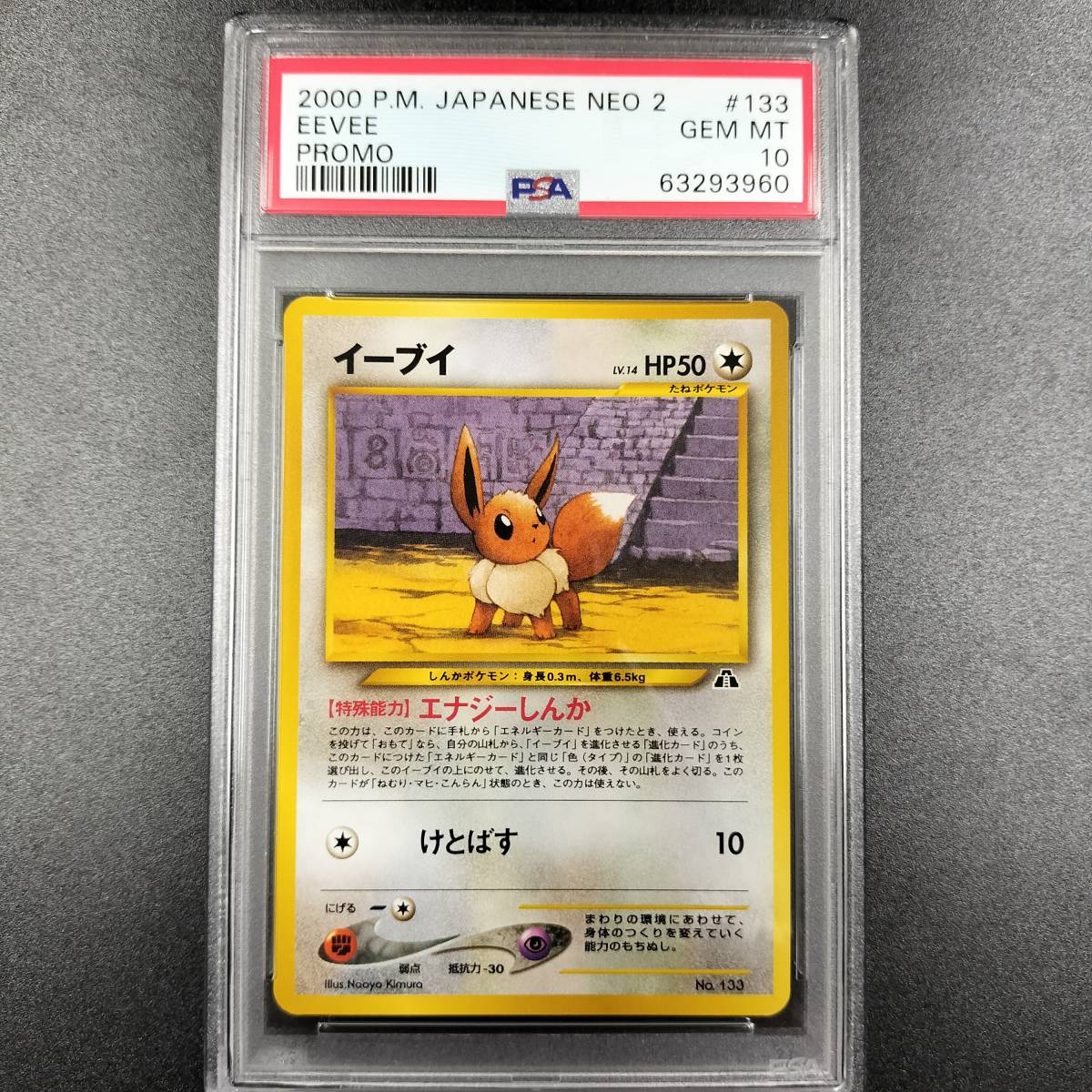 ポケモンカード イーブイ プロモ プレミアムファイル 旧裏 PSA10-
