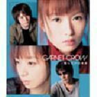 僕らだけの未来 GARNET CROW