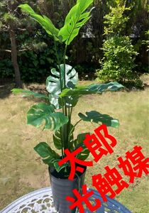 光触媒　人工観葉植物　ウォールグリーン　フェイクグリーン　モンステラ黒8080