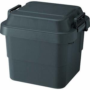 TRUSCO( Trusco ) trunk cargo storage box 30L black BLKC-30