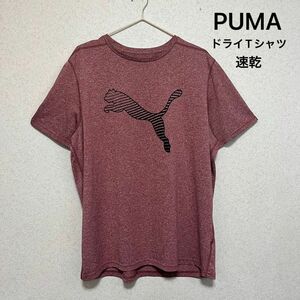 【美品】PUMA(プーマ) ブランドロゴ 速乾 ドライTシャツ　トップス 半袖Tシャツ