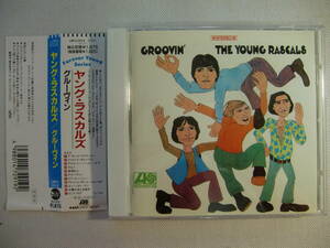 THE YOUNG RASCALS ヤング・ラスカルズ / GROOVIN グルーヴィン 帯付！　 - Eddie Brigati - Felix Cavaliere - David Brigati