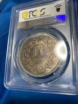 1904年 トーン　１円銀貨　銀貨　一圓銀貨　PCGS 金貨　ウナとライオン　NGC でない　物価上昇　資産保全　アンティークコイン_画像5