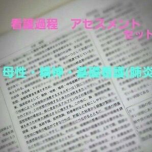 看護過程 アセスメント 母性アセスメント 精神アセスメント 基礎看護肺炎看護過程