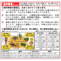 移動式ビニールハウス 間口2.2m奥行3.6ｍ高さ2.2ｍ約3.6坪ベース式蝶番式1枚扉 家庭菜園温室園芸BH-2236【法人様宛/配達店止めは送料無料】_画像10