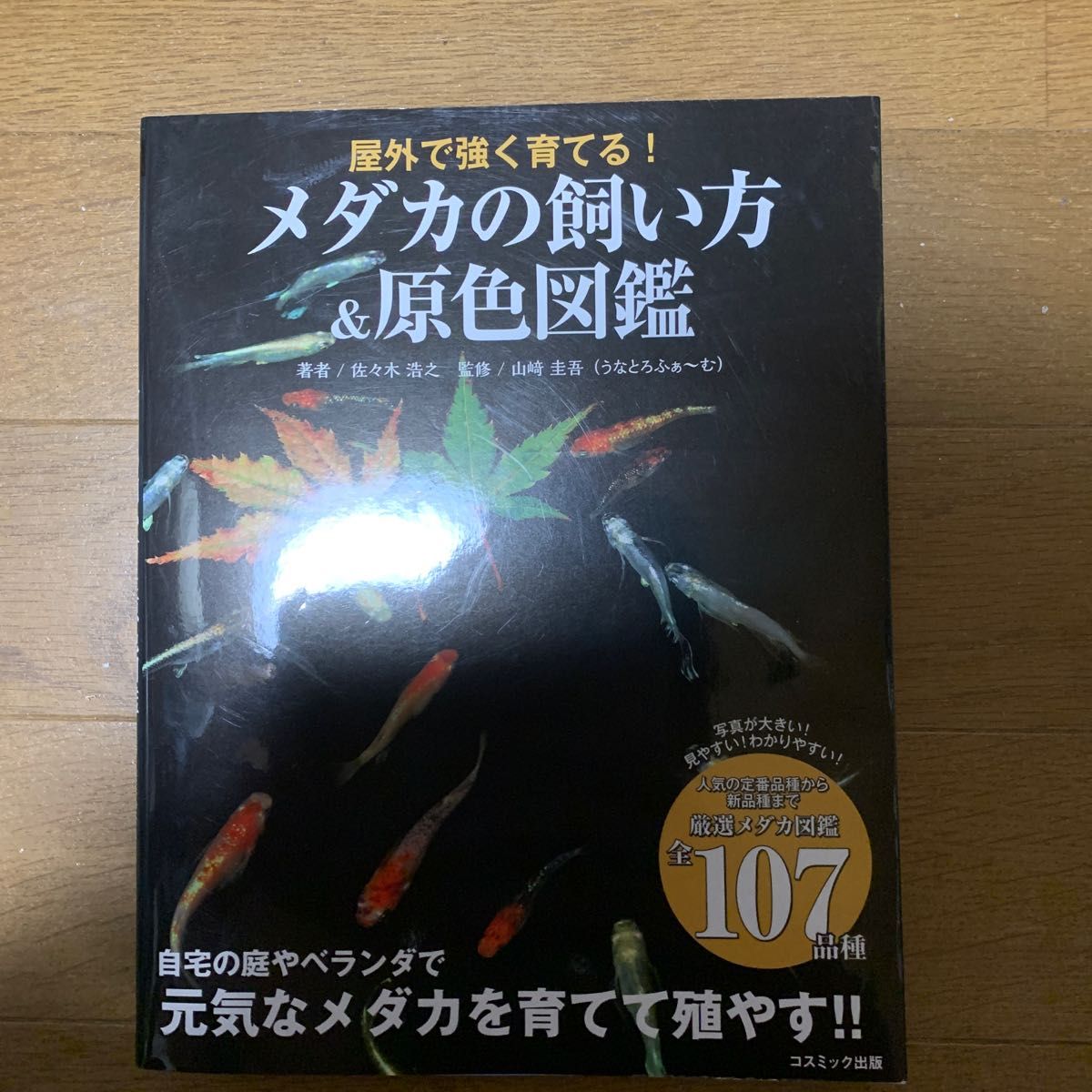輝く高品質な 【 bachof】他の方の入札はお控えください。 ina 洗濯機