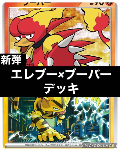 ポケモンカード　構築済みエレキブル×ブーバーンデッキ