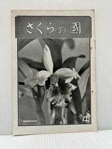 さくらの國 1935年4/1発行★写真/昭和レトロ/モノクロ写真/アマチュア寫眞雑誌