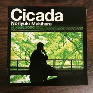 (D413)中古CD100円 槇原敬之　Cicada