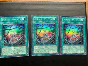 遊戯王 スーパーレア　ブラックガーデンカード