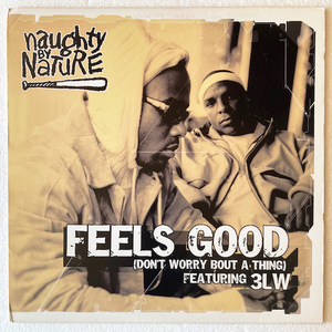 【US / 12inch】 NAUGHTY BY NATURE / Feels Good 【3LW / TVT 2344-0】