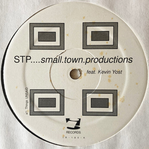 【US / 12inch】 STP / Things Unsaid 【Kevin Yost / IR-180】