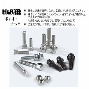 H＆R 平面ボルト (20本) M12×1.25 首下56mm 17HEX プジョー/シトロエン用　12255406