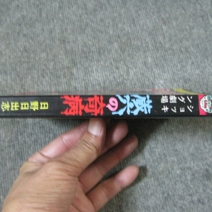 ★1976/05/31「蔵穴の奇病/日野日出志」ショッキング劇場/ひばり書房/ヒットコミックス・日野日出志/昭和51年の画像5