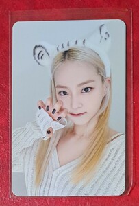 イェウン THE BEGINNING MAKESTAR 特典トレカ Part.2 トラの赤ちゃんver. A 即決 Yeeun フォトカード ヨントン限定 CHERRY COKE TOK