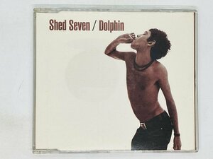 即決CD Shed Seven Dolphin / ブリットポップ / W01