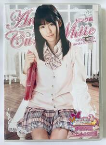 ◆新品／正規品／送料無料◆ 宮沢春香 Angel Cure White ピンク編 DVD ( エンジェルキュアホワイト イメージ ジュニアアイドル )