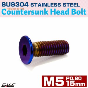 皿ボルト M5×15mm P0.8 SUS304 ステンレス 六角穴 皿キャップ 焼きチタンカラー TR0996