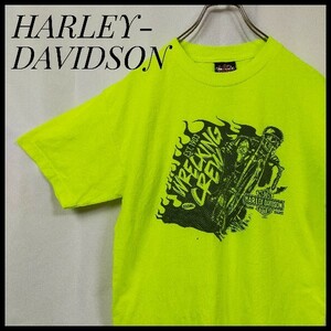 ハーレーダビッドソン　メキシコ製　半袖Ｔシャツ　デカロゴ　ビッグプリント　バックプリント　バイク　オートバイ　激レア　一点もの