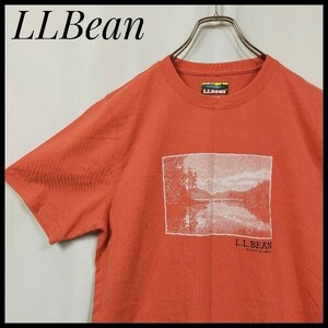 ＬＬＢｅａｎ　エルエルビーン　半袖Ｔシャツ　ビッグプリント　デカロゴ　ネイチャー　自然　湖　ＬＡＫＥ　ロゴＴ　人気　一点もの