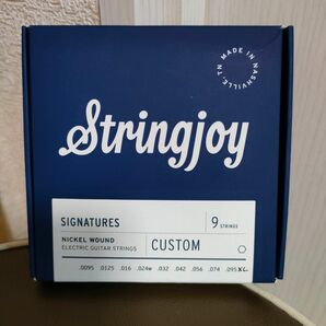 9弦 ギター弦 Stringjoy 7弦 8弦 多弦