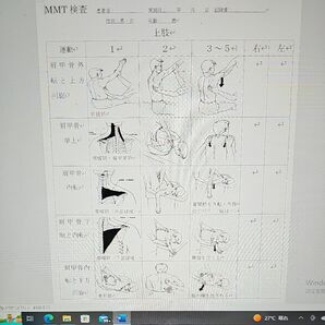 USBメモリー　各種評価チャート　理学療法