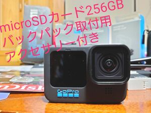 GoPro HERO11 Black microSD128GB&256GB GoProアクセサリー