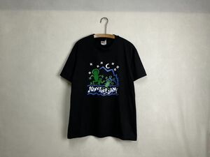 デッドストック品2000sビンテージHanesヘインズ半袖ミュージックTシャツL黒100綿アメカジストリートJUNKYARDJANE音楽物nr23822