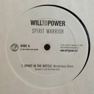 12inchレコード　WILL TO POWER / SPIRIT WARRIOR