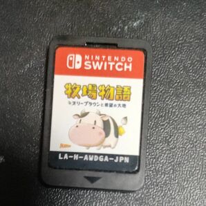 Nintendo Switch牧場物語