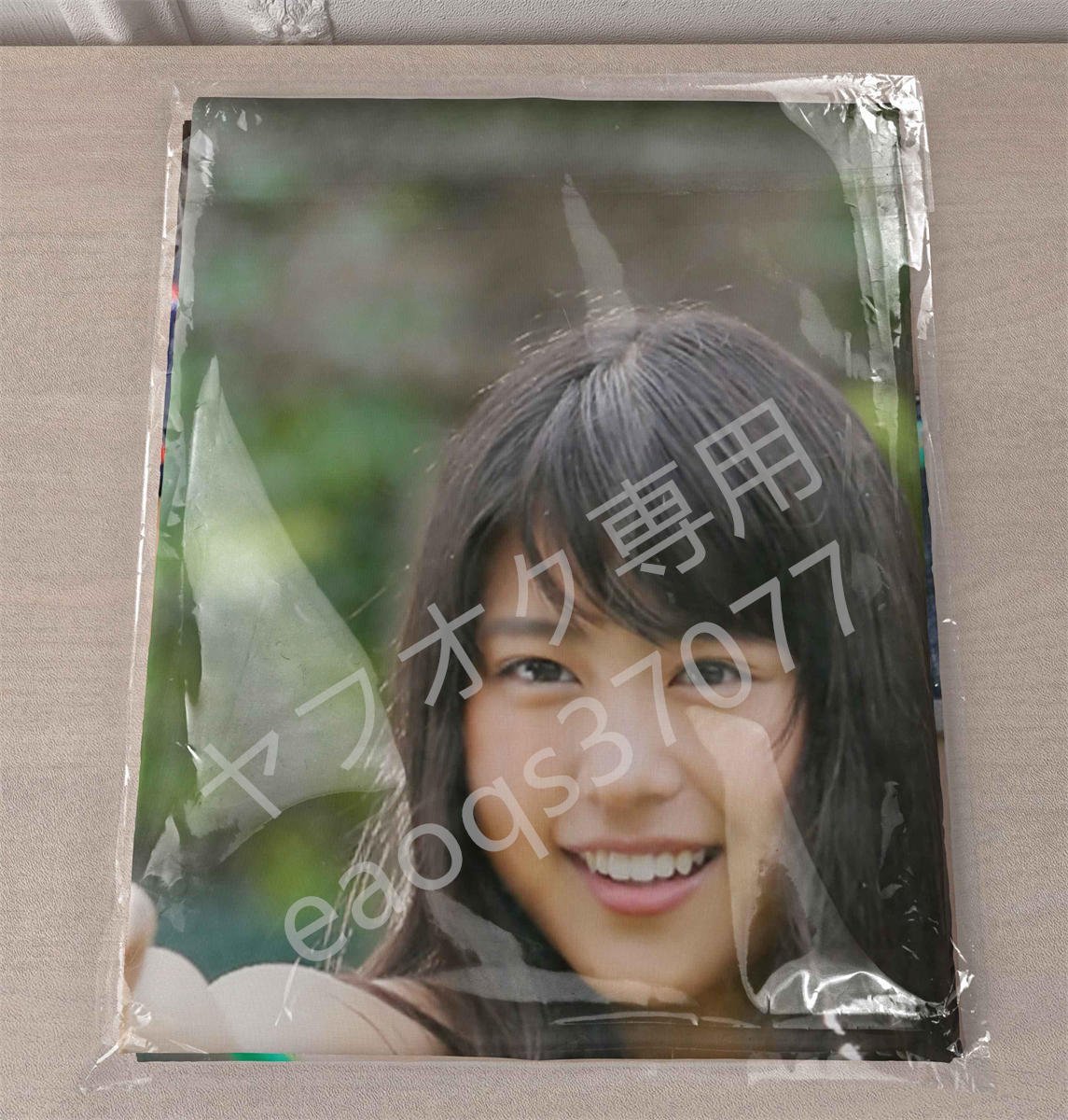一番の 貴重!有村架純 タペストリー リバーシブル B1 メニコン