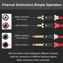 ANNNWZZD RCA デュアル オーディオ変換ケーブル, 2 x RCAオス-2 x 6.35mmモノオス,モノラルフォン×2-RCA オーディオケーブル (2M)_画像5
