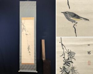 Art hand Auction 真作/森 一鳳/ウグイス図/鶯図/花鳥図//掛軸☆宝船☆AC-614, 絵画, 日本画, 花鳥, 鳥獣