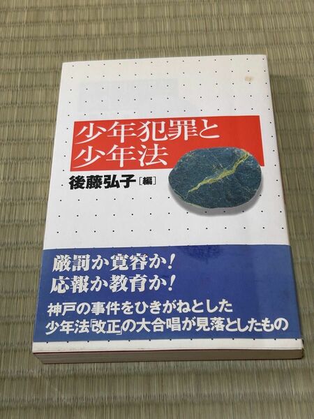 少年犯罪と少年法/後藤弘子