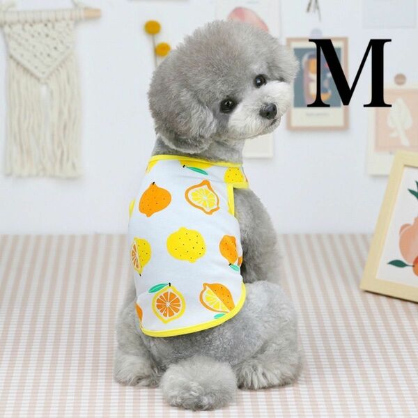 新品☆犬服　フルーツ柄タンクトップ