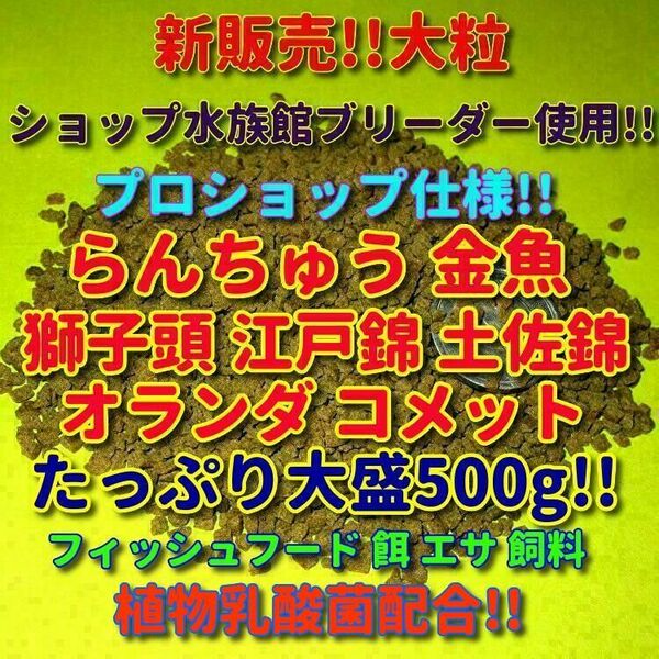 新販売 大粒 たっぷり500g プロ仕様! らんちゅう 金魚 餌 エサ 飼料 食い付き抜群!!ブリーダー推奨 丹頂 土佐錦 獅子頭