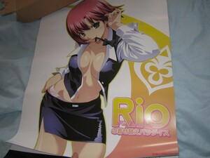 新品　Rio カレンダー 2007　箱付き　リオ