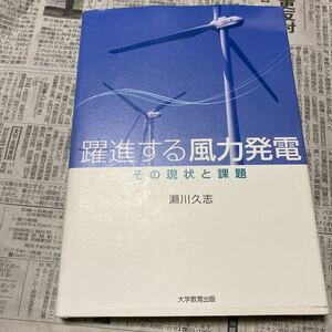 躍進する風力発電