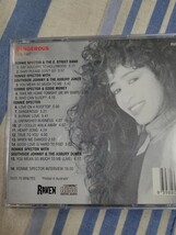 輸入盤CD Ronnie Spector 「Dangerous」 1976-1987 ベスト ロネッツ ロニー・スペクター Eddie Money 廃盤_画像2