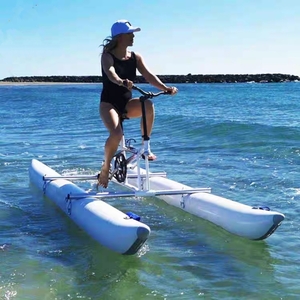 新しいタイプの水上バイクは超popularです。