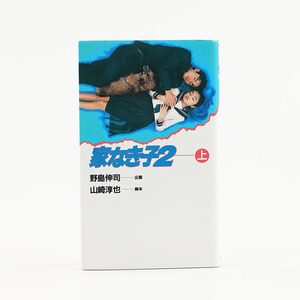 テレビドラマ「家なき子2」 を原作として小説したものです 上巻 1995年6月22日発行 ジャンク商品