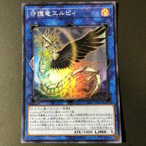 遊戯王 守護竜エルピィ スーパーレア SAST-JP051