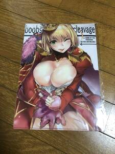 クリアファイル　関西漁業組合　丸新　FGO Fate メロンブックス　ネロ・クラウディウス　C93