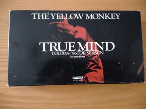 230529-3 THE YELLOW MONKEY TRUE MIND TOUR '95-'96 FOR SEASON in motion VHSビデオテープ　１１９分　定価税込５５００円