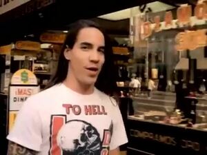 レアデザイン　Red Hot Chili Peppers アンソニー・キーディス着用 D.O.A. TO HELL AND BACK Tシャツ